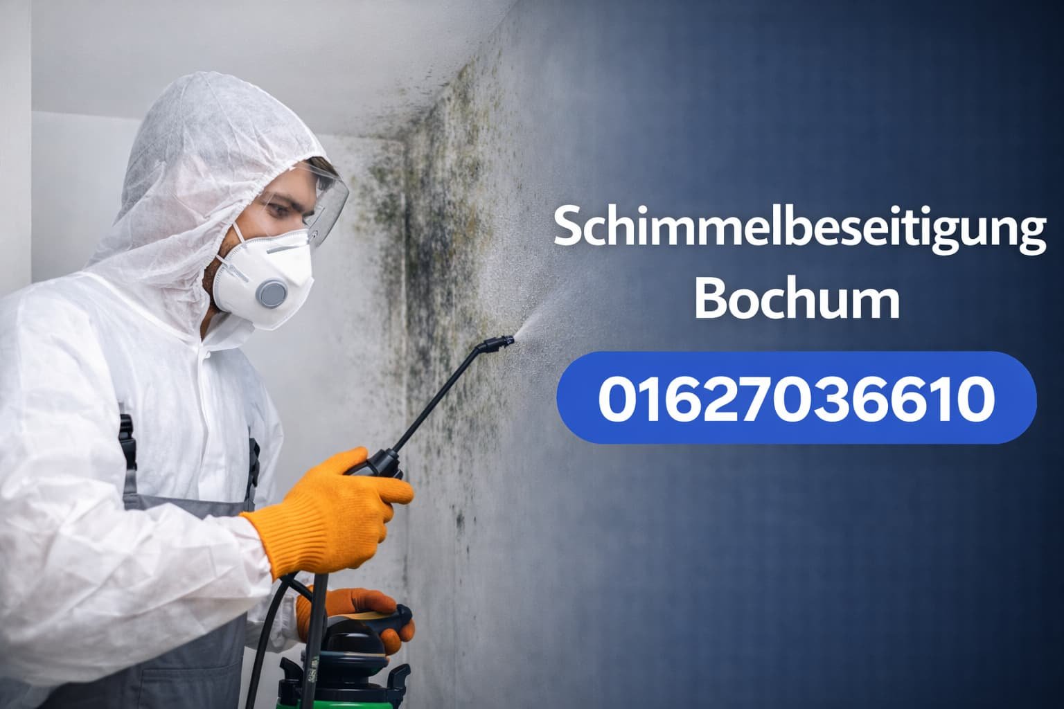 Schimmelbeseitigung Bochum