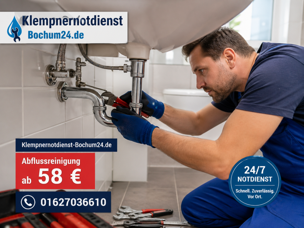 Schimmelbeseitigung Recklinghausen ab 58€ | Schnelle Hilfe