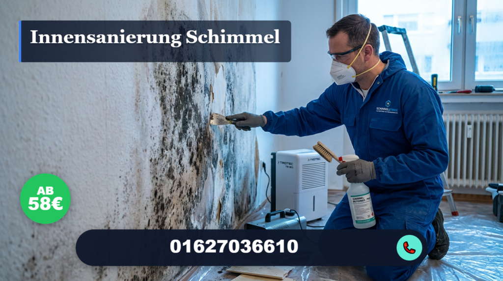 innensanierung schimmel