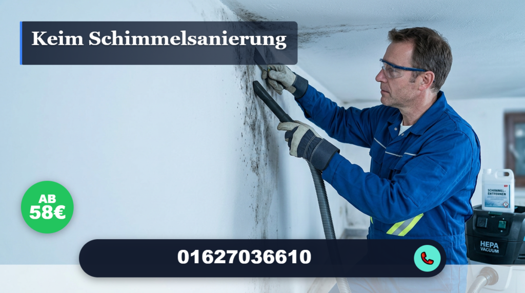 keim schimmelsanierung