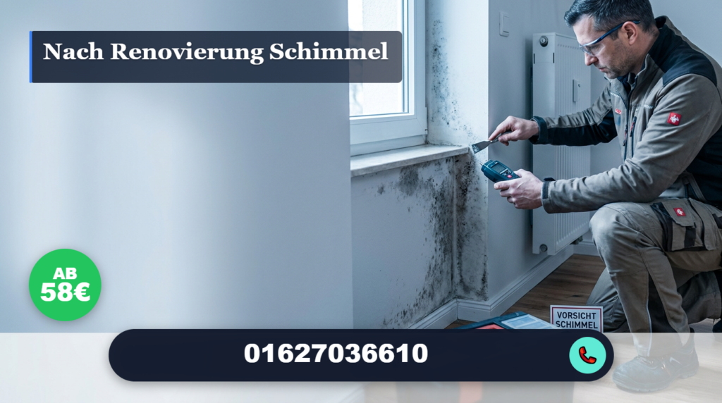nach renovierung schimmel