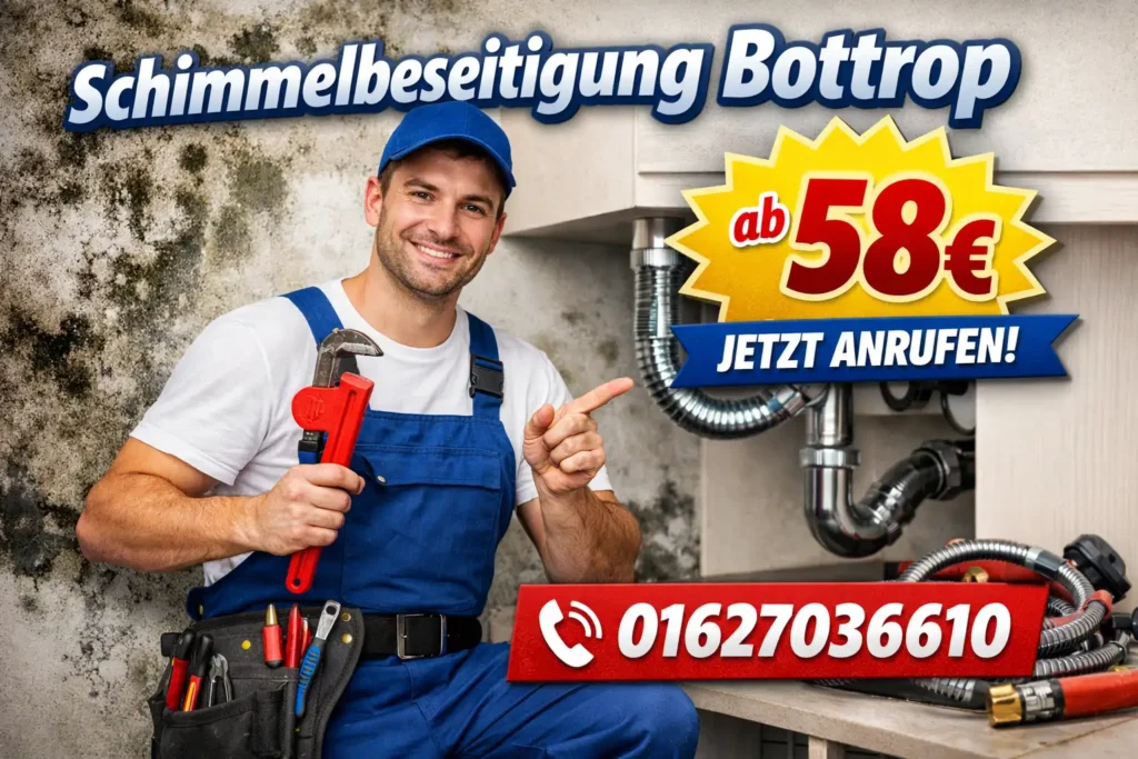 schimmelbeseitigung bottrop