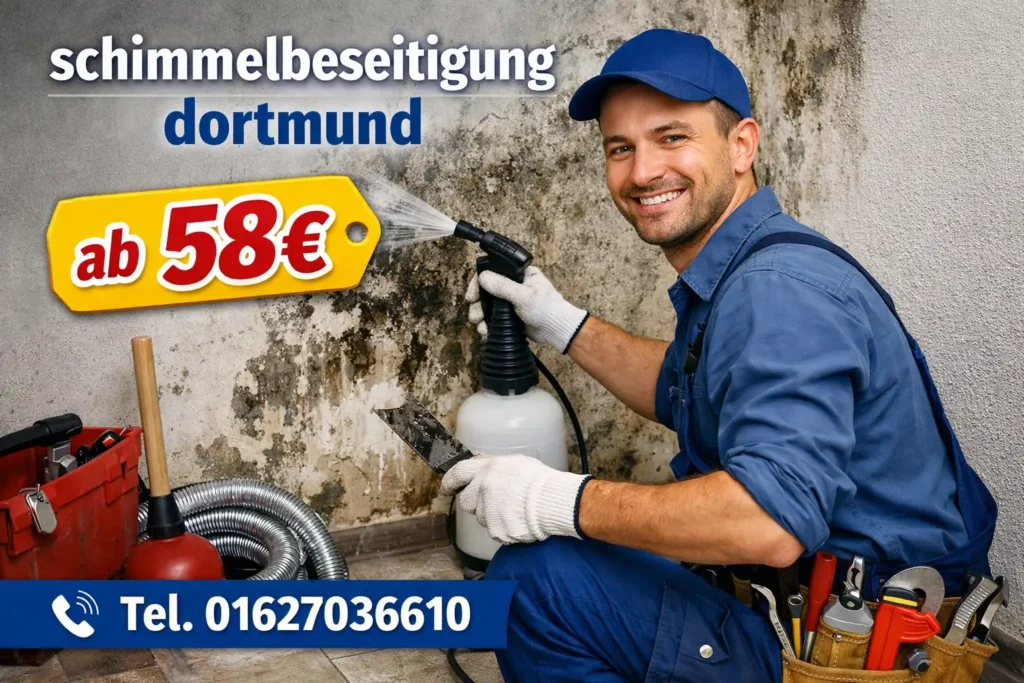 schimmelbeseitigung dortmund