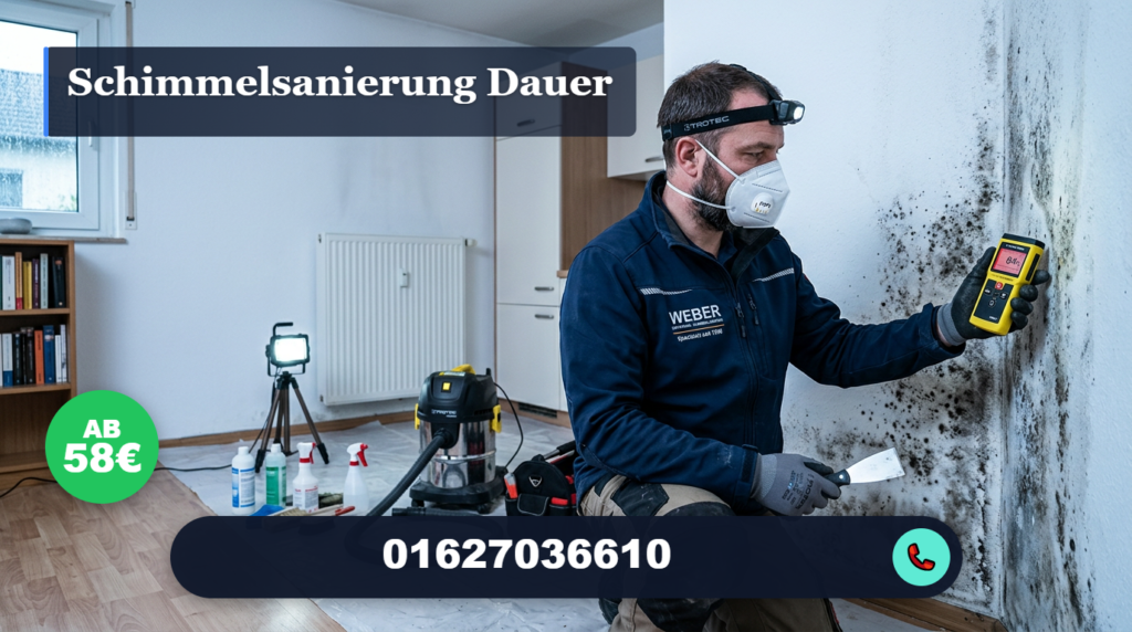 schimmelsanierung dauer