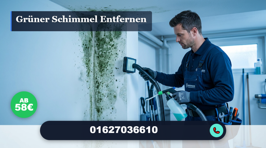 grüner schimmel entfernen