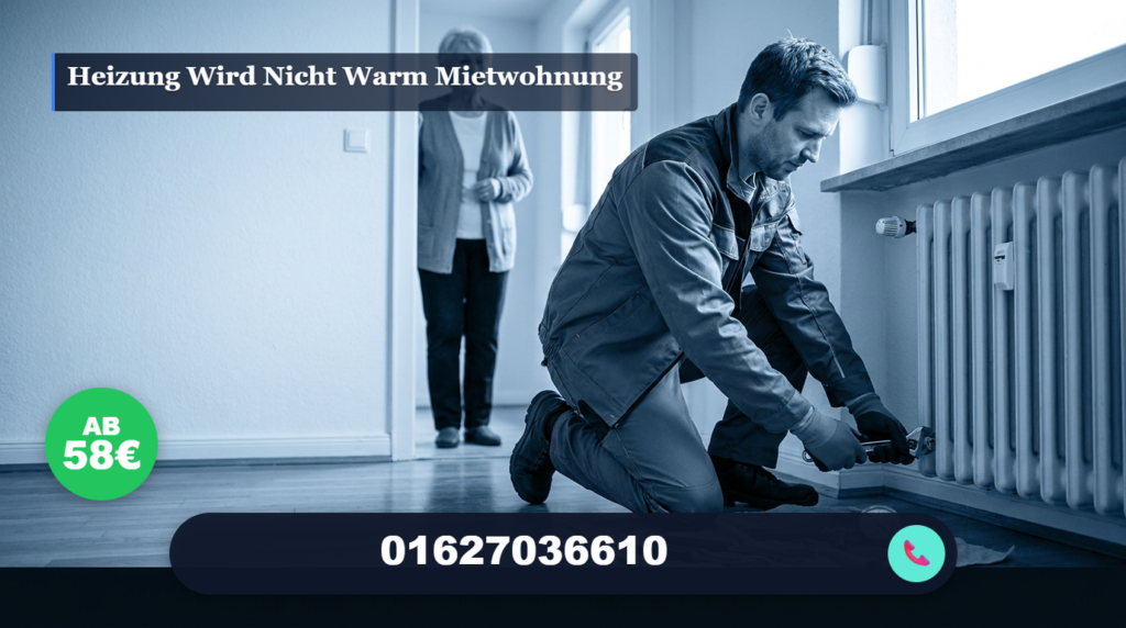 heizung wird nicht warm mietwohnung