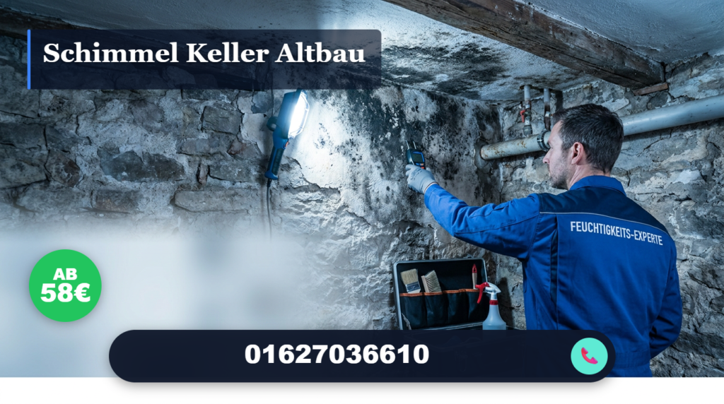 schimmel keller altbau